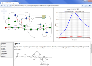 Published central metabolism model
